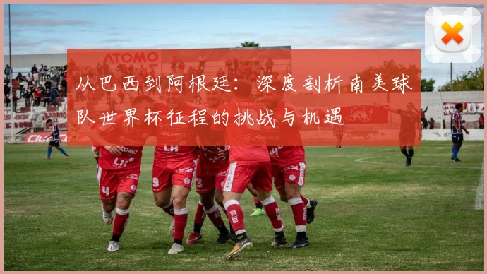 从巴西到阿根廷：深度剖析南美球队世界杯征程的挑战与机遇